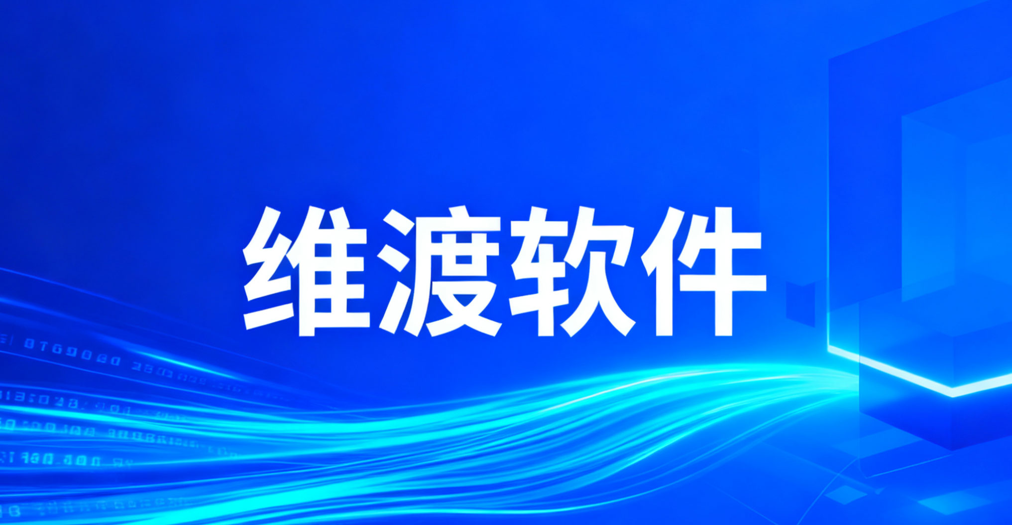 维渡科技15616000334